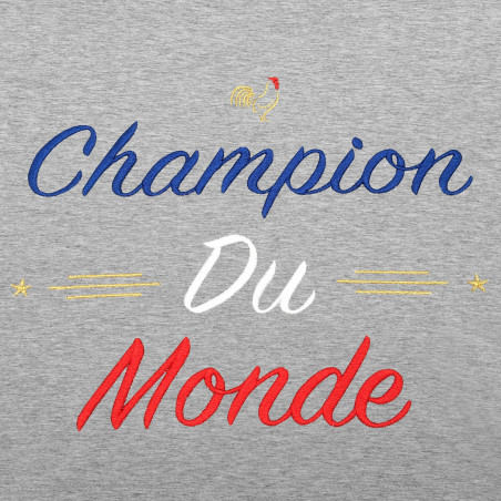 BRODERIE ROBE CHAMPION DU MONDE GRIS CHINE